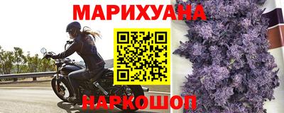 стаф Бийск