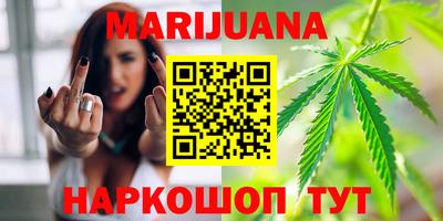 стаф Бийск