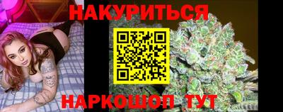 стаф Бийск