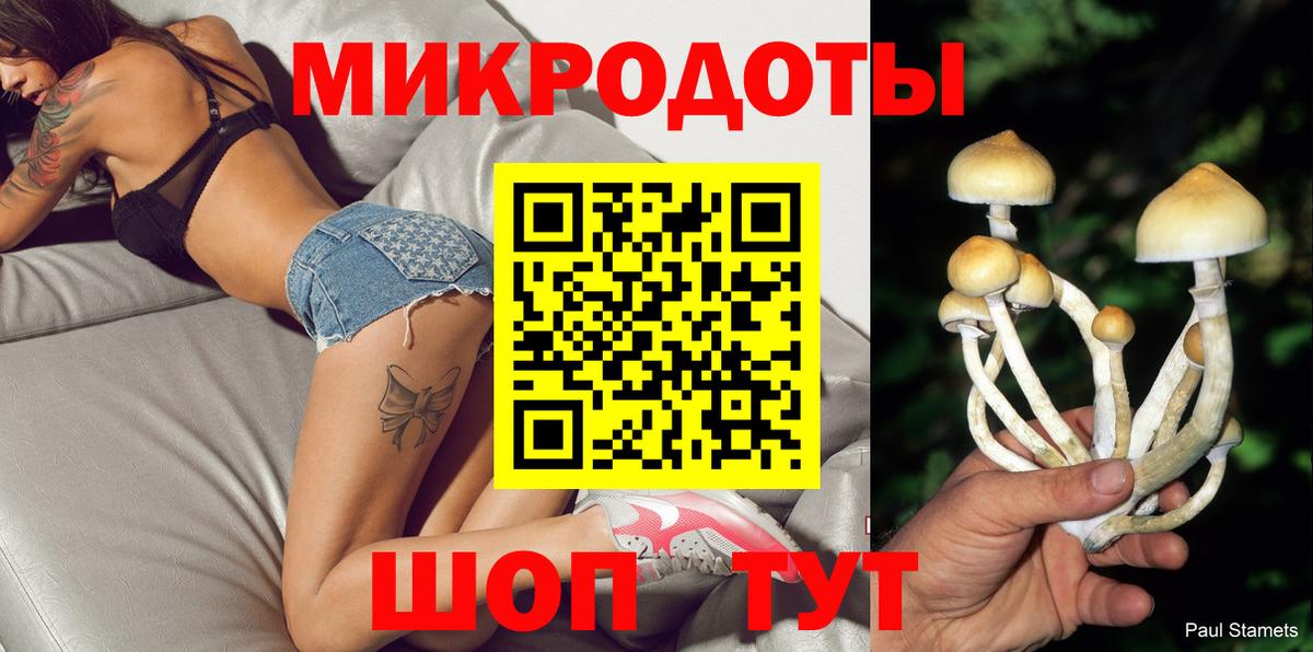 Кинель  Псилоцибиновые грибы мухоморы  Вход с VPN 